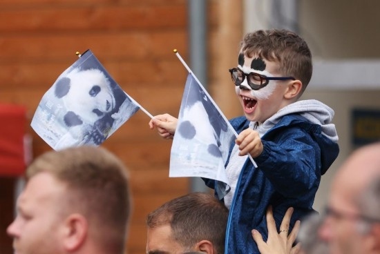  2023年7月26日，在法國圣艾尼昂市博瓦勒野生動物園外，一名兒童等待送別熊貓“圓夢”。新華社記者 高靜 攝