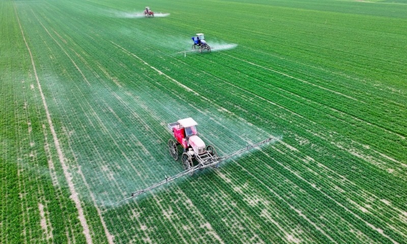 2024年2月18日，安徽省亳州市，利辛縣紀(jì)王場鄉(xiāng)孫老家村麥田，農(nóng)民駕駛自走式高桿噴霧機(jī)對小麥進(jìn)行噴藥作業(yè)。