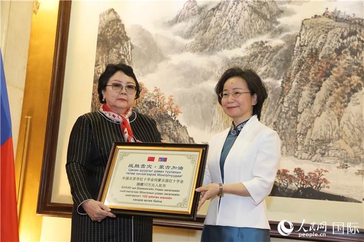 沈大使向?qū)殑跔柆敚ㄗ螅┟貢L轉(zhuǎn)交捐款。人民網(wǎng)記者 霍文攝