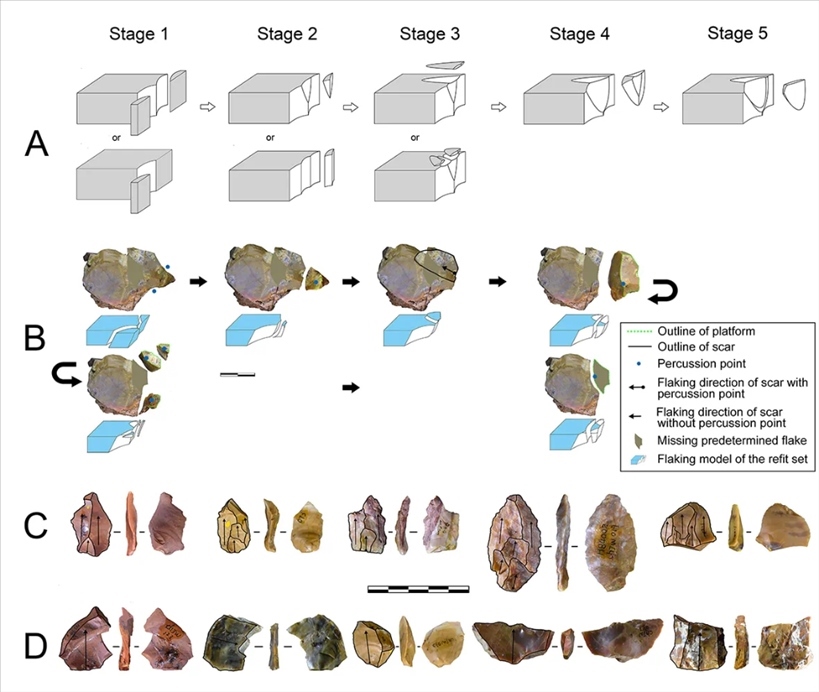 岑家灣遺址“準(zhǔn)備石核技術(shù)”及相關(guān)石制品。（受訪單位供圖）