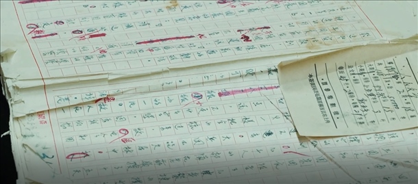 曲波《林海雪原》手稿。主辦方供圖