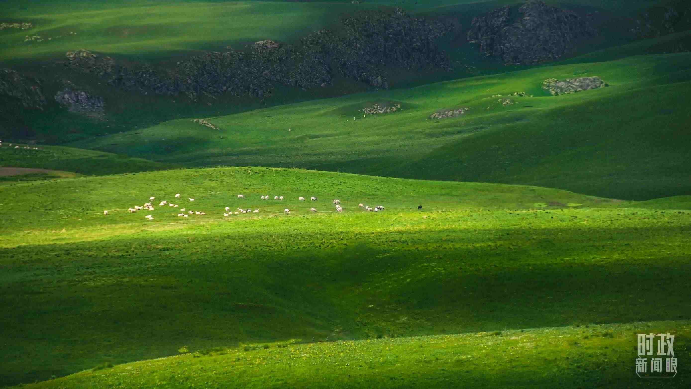 △祁連山草原光影。（圖/視覺中國(guó)）