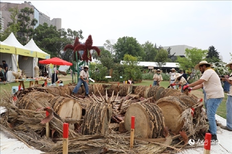 坎波·馬特活動(dòng)現(xiàn)場(chǎng)。埃內(nèi)斯托·多明戈斯攝