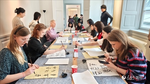 瑞典書法愛好者專心學(xué)習(xí)書法。人民網(wǎng)記者 殷淼攝