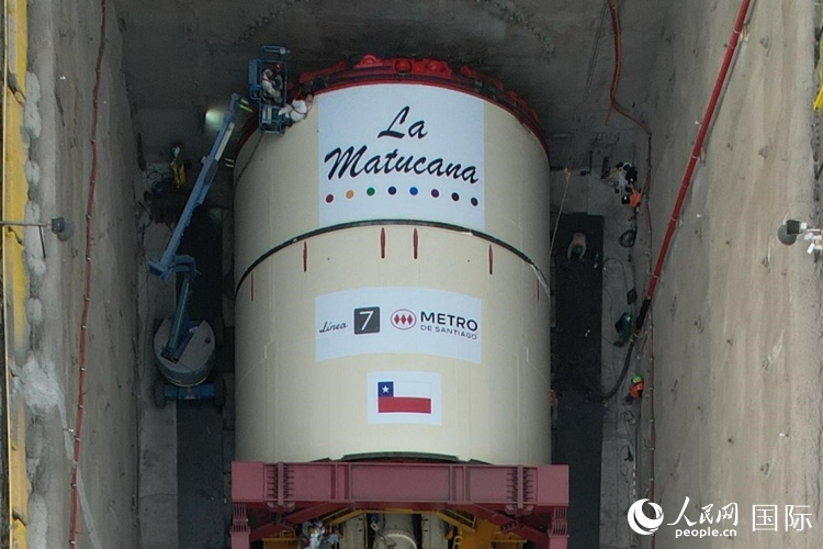 質(zhì)構(gòu)機(jī)全景。陳露明攝