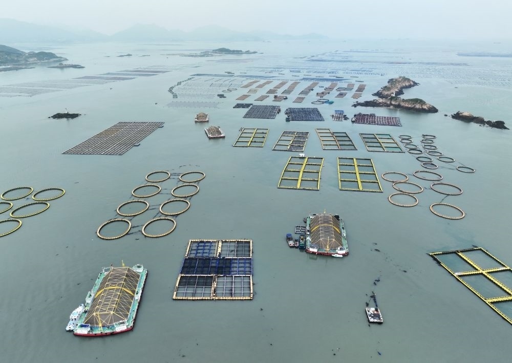 在福建連江定海灣海域，坐落著“定海灣1號(hào)”“定海灣2號(hào)”等深遠(yuǎn)海養(yǎng)殖平臺(tái)（2024年5月7日攝，無(wú)人機(jī)照片）。新華社記者 林善傳 攝
