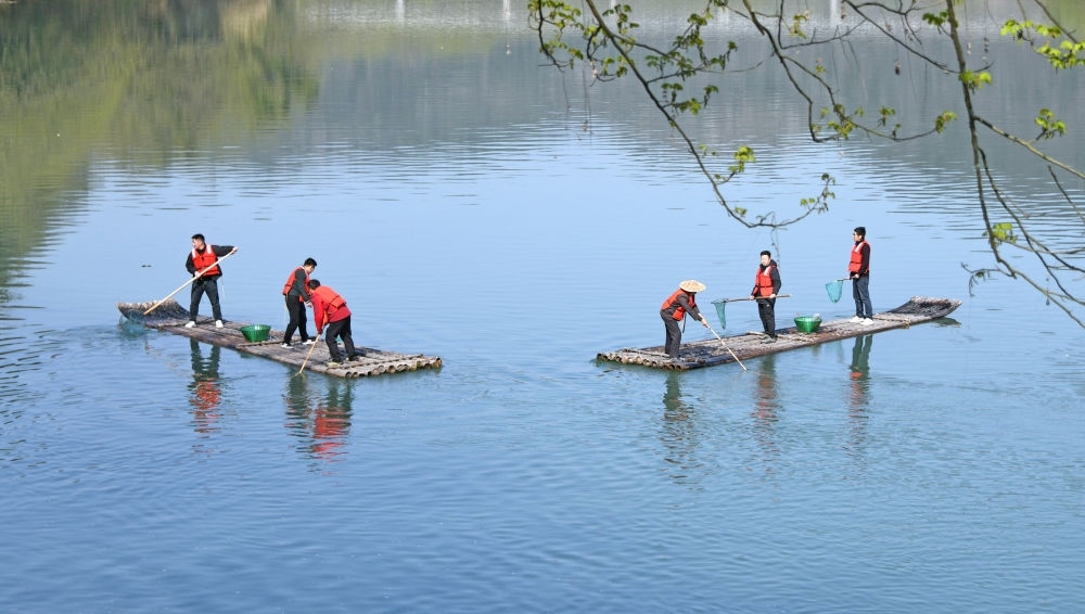 浙江省臺(tái)州市仙居縣步路鄉(xiāng)黨員志愿者與河長(zhǎng)一起在永安溪巡河護(hù)水，清理雜物垃圾（2024年3月20日攝）。新華社發(fā)（王華斌攝）