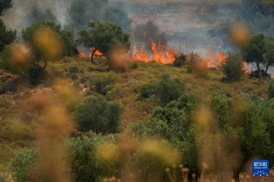 6月12日，以色列北部加利利地區(qū)遭受火箭彈襲擊后冒出滾滾濃煙。新華社發(fā)（阿亞爾·馬戈林?jǐn)z/基尼圖片社）