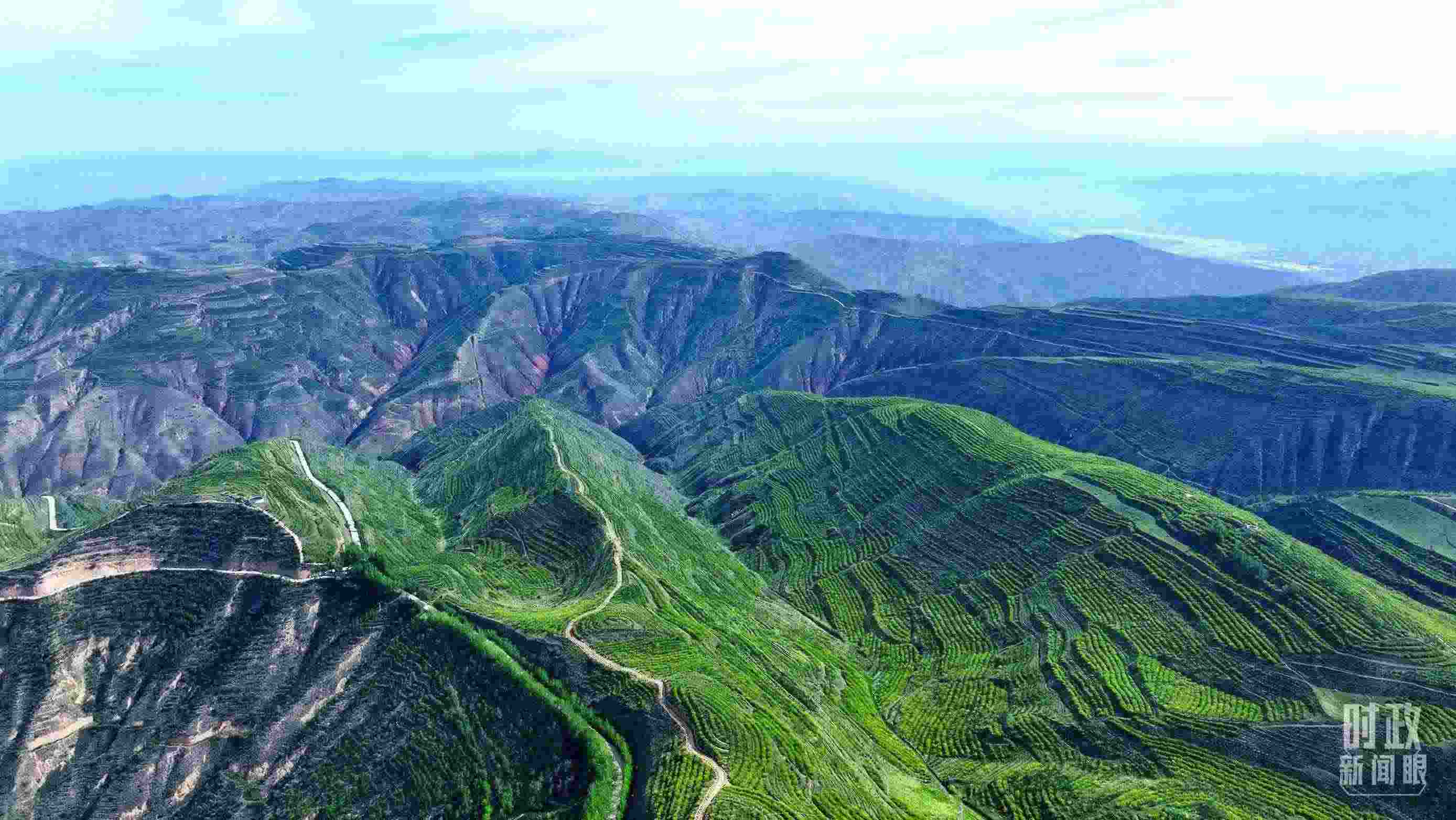 △青海西寧。（總臺記者柳成拍攝）