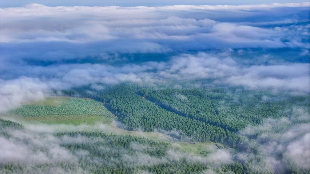 2024年7月26日拍攝的塞罕壩國家級自然保護區(qū)景色。新華社發(fā)（劉滿倉 攝）