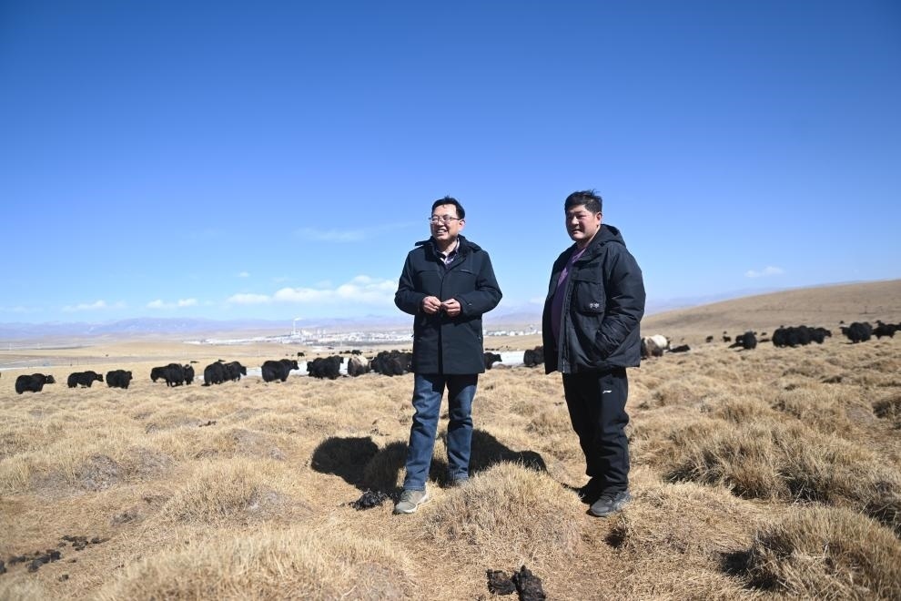 2023年2月24日，在青海省海北藏族自治州海晏縣青海湖鄉(xiāng)達(dá)玉日秀村，全國人大代表董全民（左）查看牧民東知布家的草場(chǎng)。新華社記者 張龍 攝