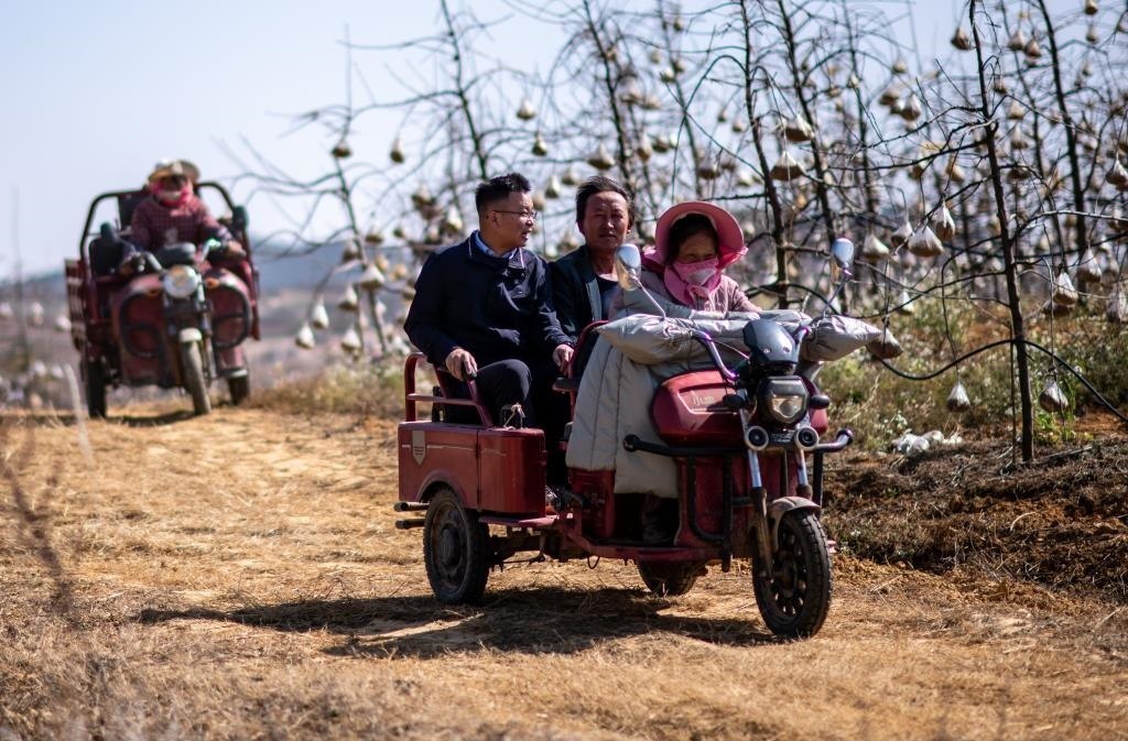 全國人大代表袁海波（右三）在云南省曲靖市馬龍區(qū)一種植基地了解務(wù)工人員就業(yè)需求（2023年2月11日攝）。新華社記者 江文耀 攝