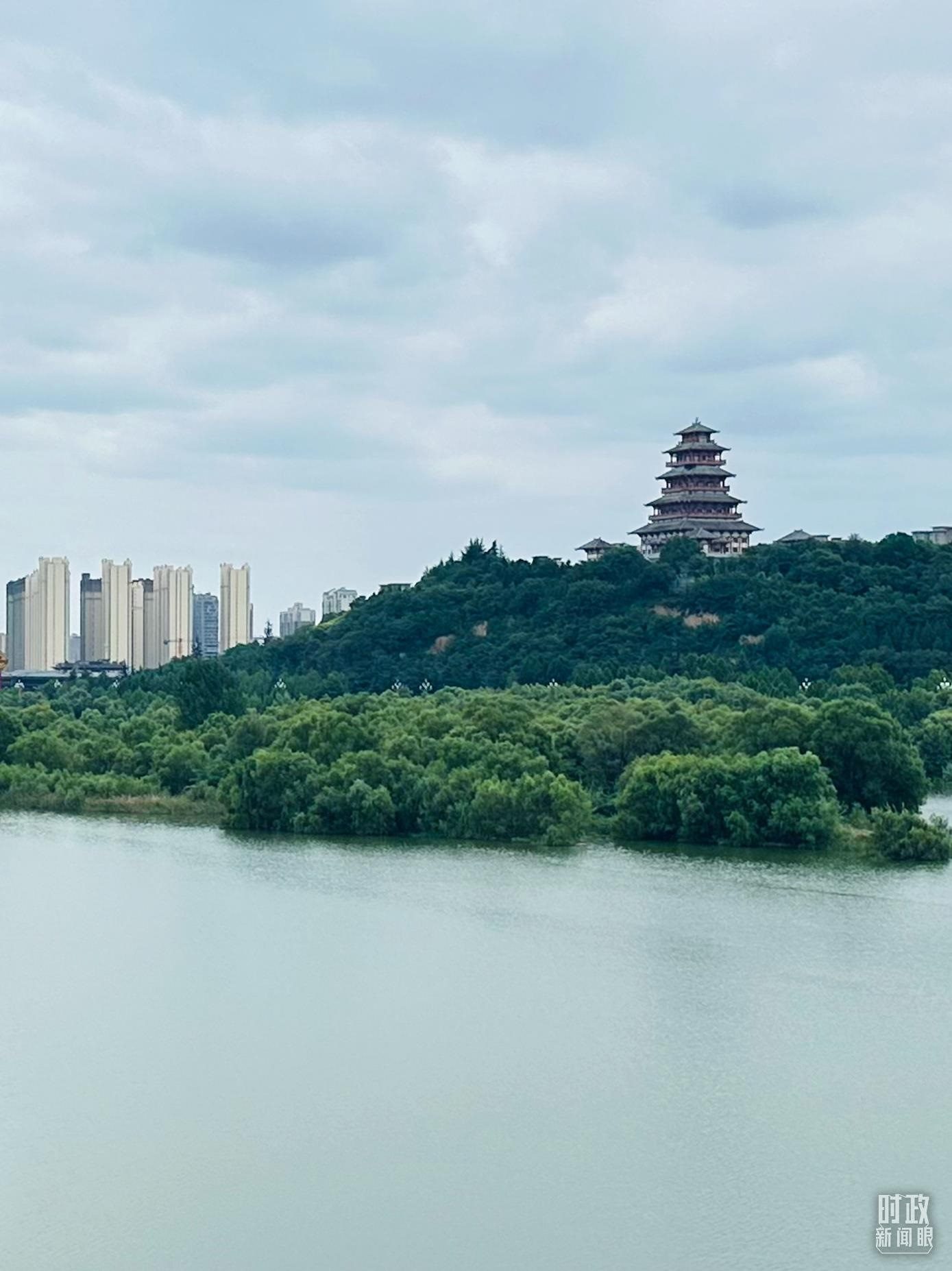 △渭河寶雞段長224公里，目前建成17處渭河灘區(qū)生態(tài)涵養(yǎng)區(qū)。（總臺央視記者范一鳴拍攝）