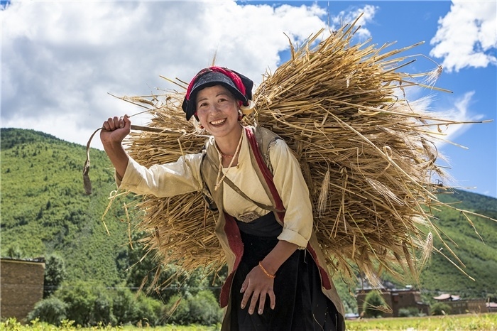 康定市甲根壩鎮(zhèn)青稞豐收，農(nóng)牧民臉上洋溢著豐收的喜悅。林革文攝
