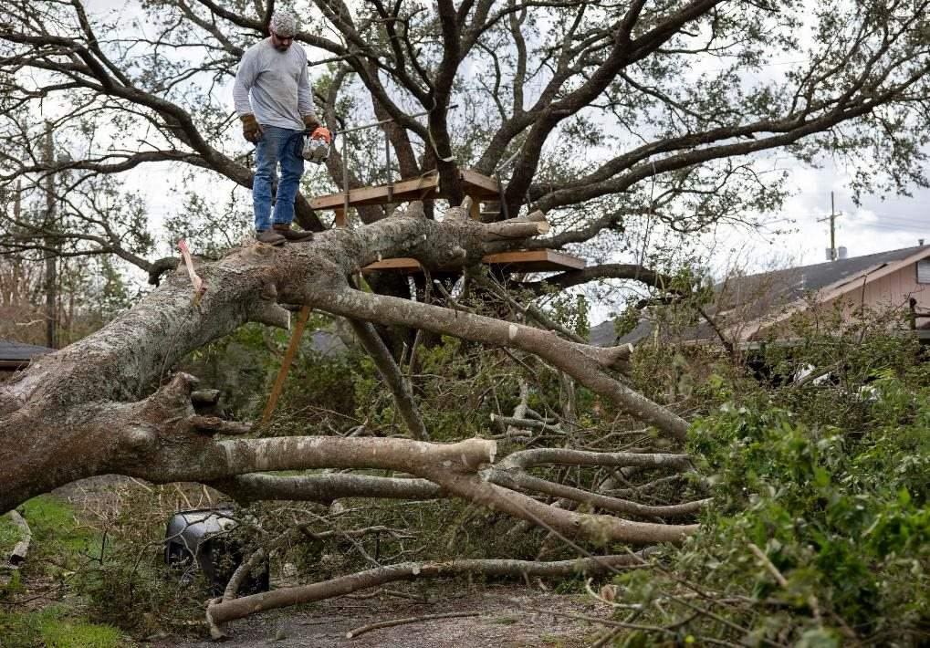 2021年8月30日，在美國(guó)路易斯安那州霍馬，一名男子站在被颶風(fēng)吹倒的大樹上。新華社發(fā)（尼克·瓦格納 攝）