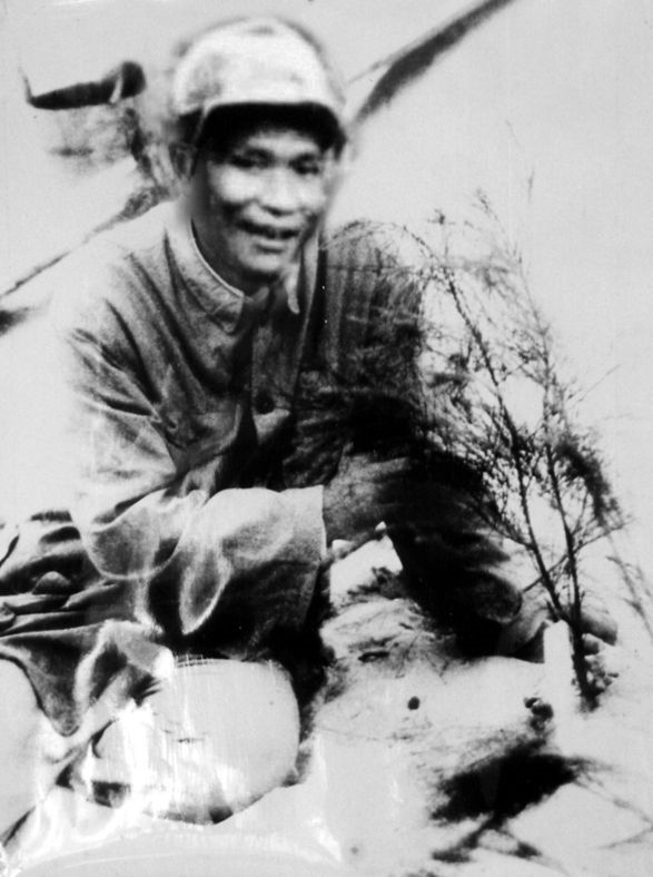 谷文昌與試種成活的木麻黃（資料照片）。為了治沙，谷文昌爬遍了東山縣400多個山頭，踏遍了30多公里的沙灘，終于帶領東山人民試種木麻黃成功。