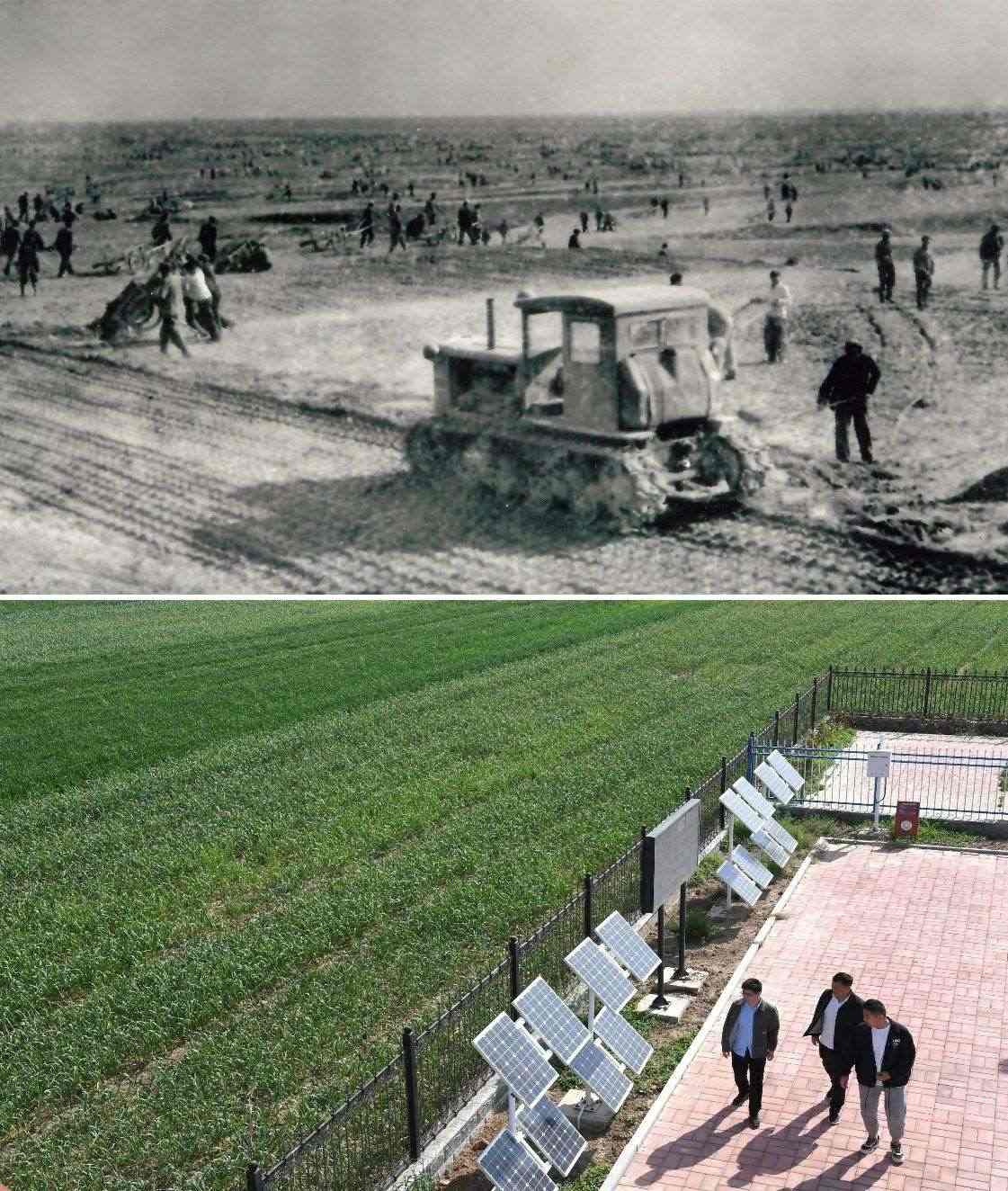 上圖為二十世紀(jì)六十年代蘭考改造鹽堿地的情景（資料照片）；下圖為2024年4月18日拍攝的蘭考縣紅廟鎮(zhèn)高標(biāo)準(zhǔn)農(nóng)田示范區(qū)。（新華社記者 朱祥 攝）