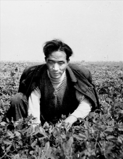 在蘭考期間，焦裕祿在田間勞動(dòng)的情景。