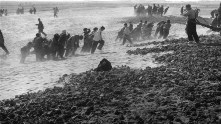 蘭考群眾在拉淤土壓沙。（新華社記者 鄧歷耕 攝）