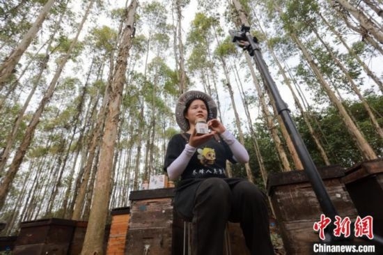 吳素英在網絡平臺直播介紹蜜蜂和養(yǎng)蜂情況。湯曉逵 攝