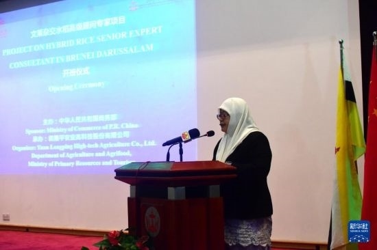 10月26日，文萊初級資源與旅游部常任秘書圖蒂亞蒂在斯里巴加灣市出席中國與文萊雜交水稻高級專家顧問項目啟動儀式。新華社記者 李萌 攝