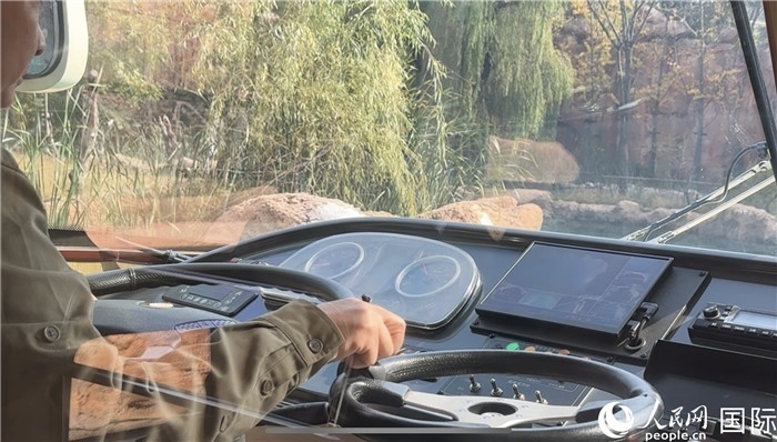 鄭州銀基動(dòng)物王國(guó)水陸兩棲觀光車駕駛室。人民網(wǎng) 謝瑩攝