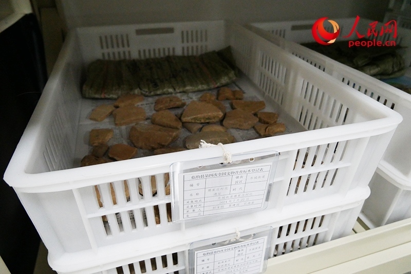 已經(jīng)整理完畢的文物標(biāo)本。人民網(wǎng)記者 韋衍行攝