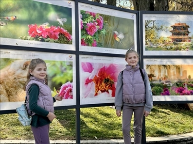 活動(dòng)現(xiàn)場(chǎng)。中國(guó)駐保加利亞大使館供圖。