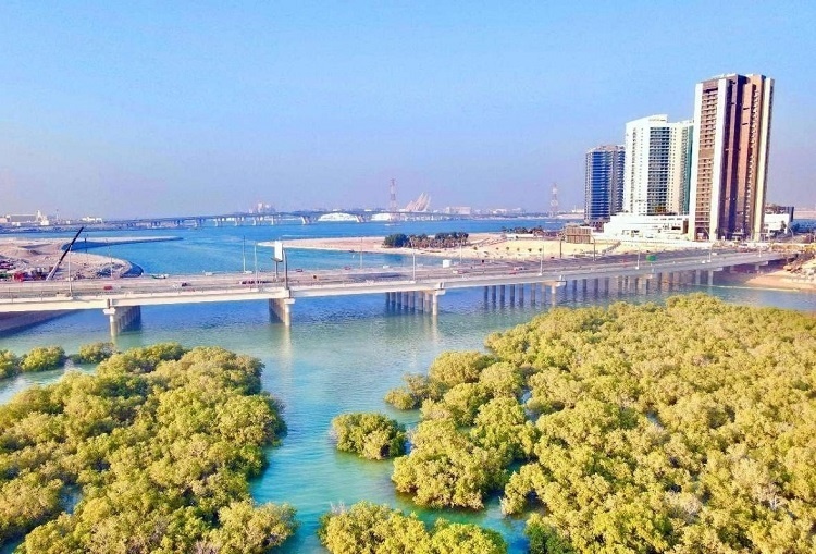 圖為瑞姆橋施工現(xiàn)場。中國土木供圖