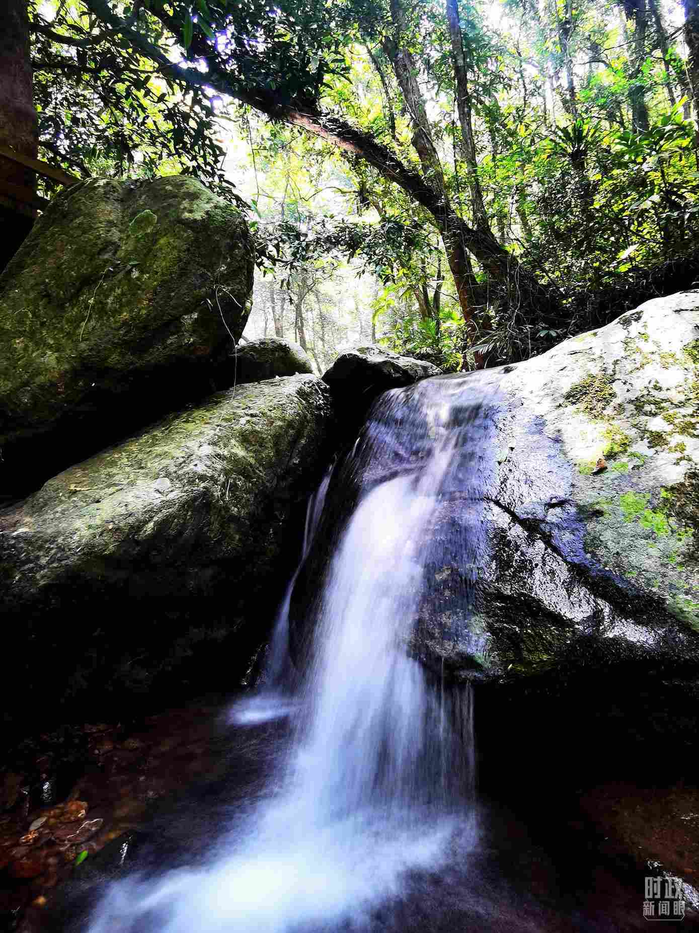 海南五指山。（總臺(tái)央視記者劉琦拍攝）
