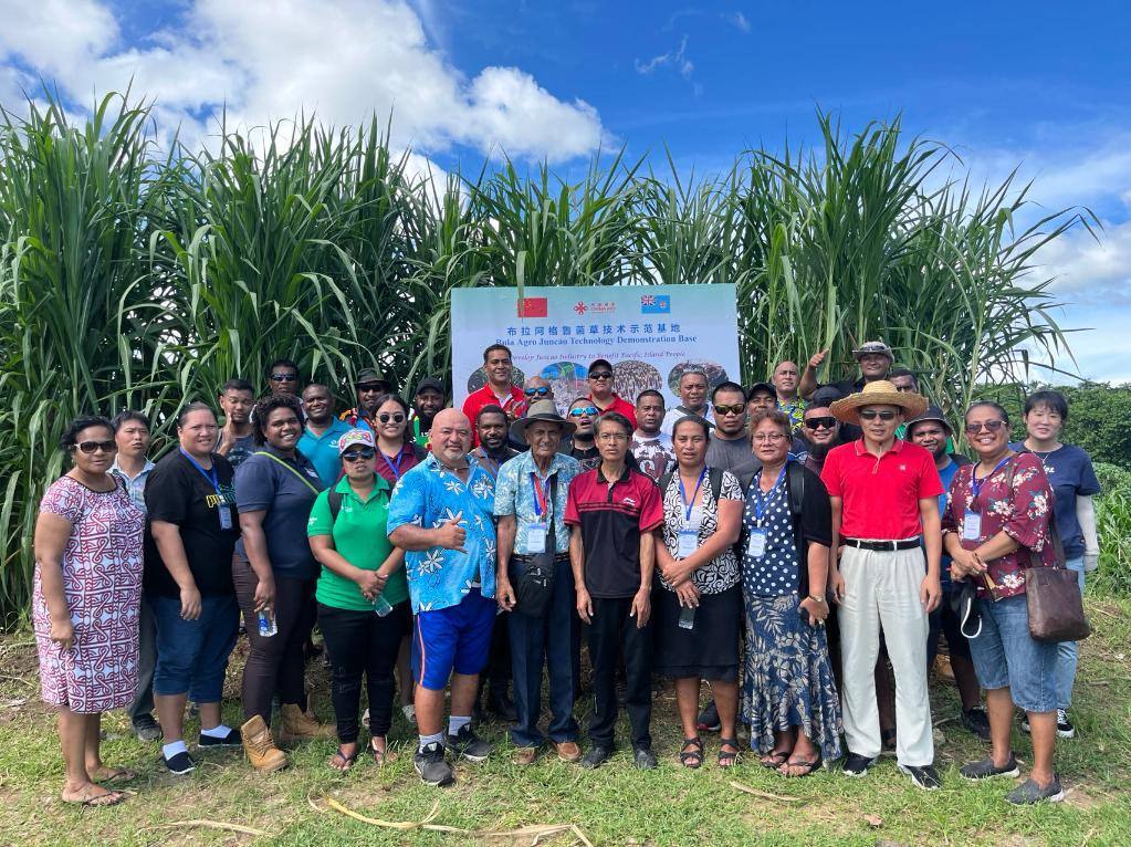 2024年2月28日，來自巴布亞新幾內(nèi)亞、湯加、庫克群島、薩摩亞、瑙魯?shù)葒业摹疤窖髰u國菌草技術(shù)培訓(xùn)班”學(xué)員在斐濟(jì)布拉阿格魯菌草技術(shù)示范基地合影。新華社發(fā)（中國援斐濟(jì)菌草技術(shù)示范中心供圖）