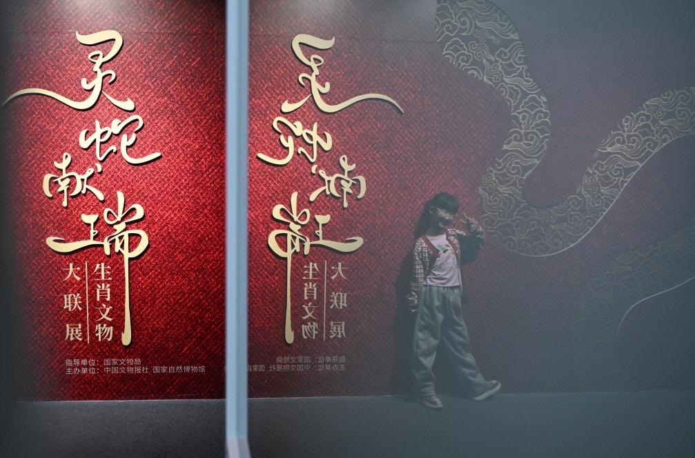 1月18日，一名小朋友在國家自然博物館舉辦的“靈蛇獻(xiàn)瑞——2025乙巳蛇年生肖文物大聯(lián)展”展覽中拍照留念。（新華社記者 陳鐘昊 攝）