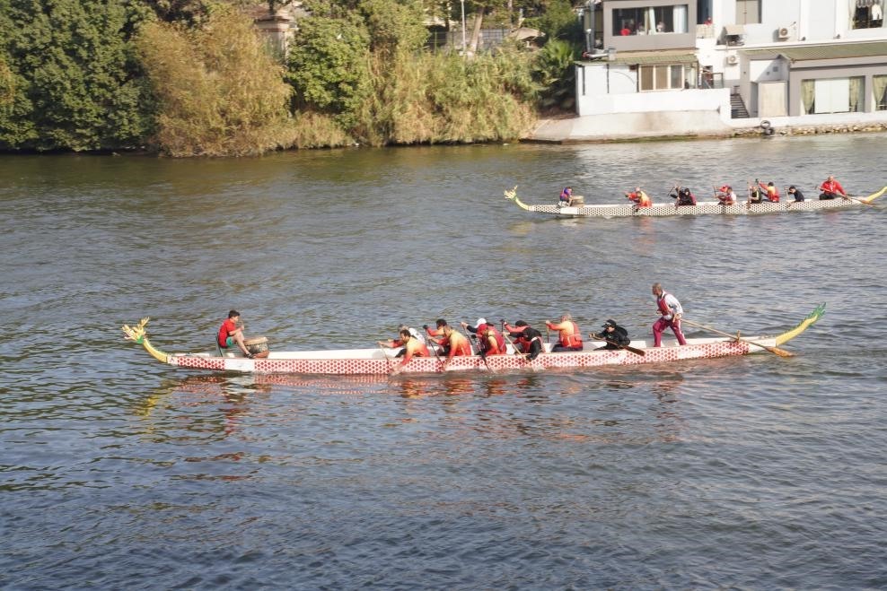 活動現(xiàn)場龍舟競技，共慶春節(jié)。開羅中國文化中心供圖