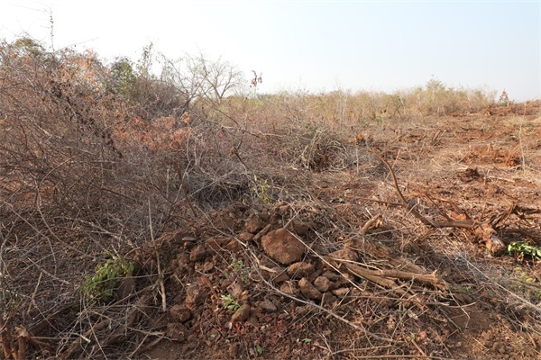 施工現(xiàn)場(chǎng)。張曉昆攝