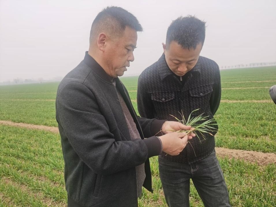 在山東濟(jì)寧汶上縣苑莊鎮(zhèn)，農(nóng)技員黃海龍對種糧大戶王振現(xiàn)場進(jìn)行春耕指導(dǎo)。人民網(wǎng)記者 車柯蒙攝