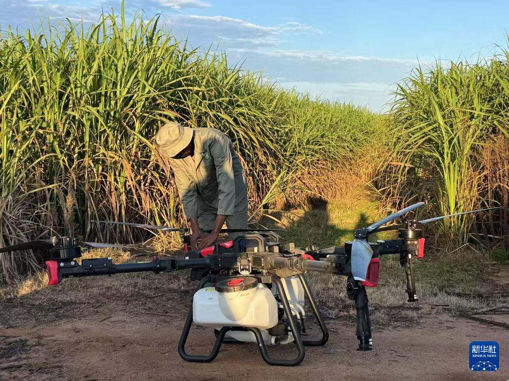 3月25日，在南非夸祖魯-納塔爾省的方廷希爾莊園，工作人員為無人機(jī)做起飛作業(yè)前的準(zhǔn)備。新華社記者 白舸 攝