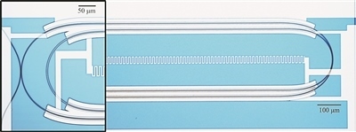 微波光量子傳感器的光學(xué)顯微照片。圖片來(lái)源：美國(guó)哈佛大學(xué)