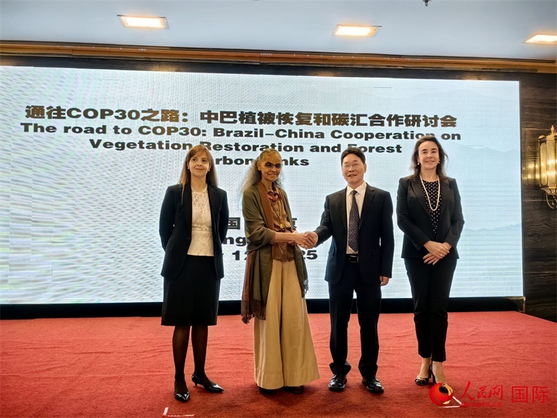 中國(guó)國(guó)家林業(yè)和草原局副局長(zhǎng)李云卿（右二）、巴西環(huán)境和氣候變化部部長(zhǎng)瑪麗娜·席爾瓦（左二）、巴西財(cái)政部副部長(zhǎng)羅熙丹（右一）、巴西駐華大使館公參樂(lè)美（左一）出席“通往COP30之路：中巴植樹(shù)造林和碳匯合作研討活動(dòng)”。人民網(wǎng)記者 符園園攝
