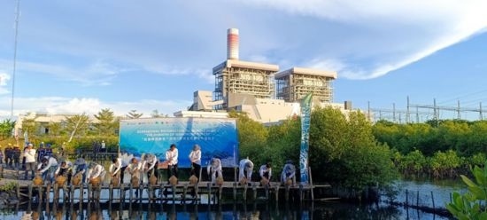 5月18日，中印尼嘉賓在爪哇7號燃煤電站舉行紅樹林補(bǔ)植儀式。記者 曹凱 攝