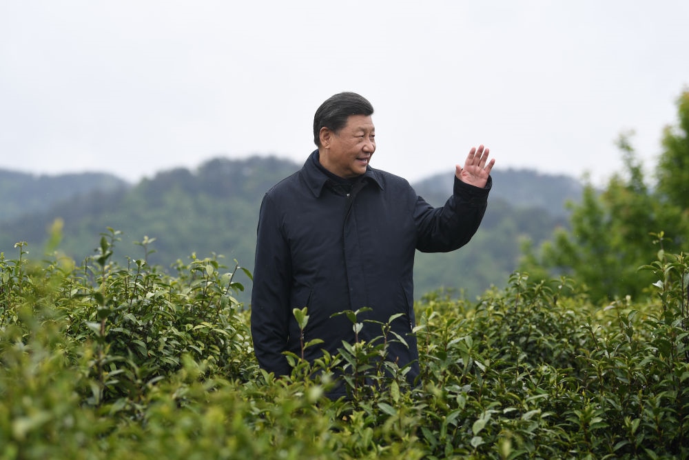 2020年4月21日，習近平總書記來到陜西安康市平利縣老縣鎮(zhèn)，在茶園考察脫貧攻堅情況。新華社記者 燕雁 攝